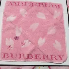 Item thumbnail for item 69ccdf31-a0cd-4329-87c8-74c9b2d542cf