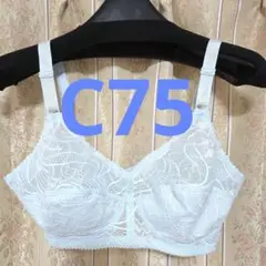 【新品未使用60%引】カネボウ セモアブラジャー C75 補正下着