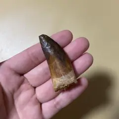 Item thumbnail for item 1912af11-8d2d-4335-9d4b-bddeddaa2e63