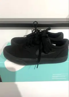 NIKE ナイキSB CHRON 2 キャンバス