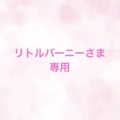 リトルバーニーさま専用