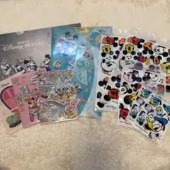 ⭐︎本限定大幅値下げ中⭐︎ディズニーキャラクタークリアファイルセット