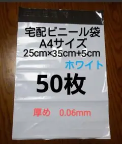 Item thumbnail for item 322584c5-b04e-45ef-9113-face812c870a