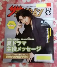 ザテレビジョン 日本生命 奥平大兼 8/23～9/5号 No.18 非売品