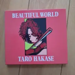 BEAUTIFUL WORLD TARO HAKASE