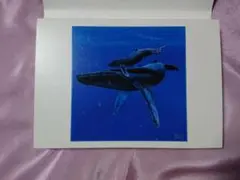 戸川郁夫 Baby Tiger 絵画 サイン入り箱付 戸川郁夫 Baby Tiger 絵画 サイン入り箱付 Yahoo!オークション