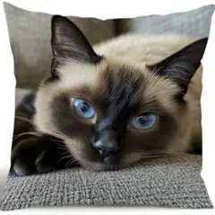 猫　クッション　カバー ネコ　黒　インテリア　かわいい　ソファ