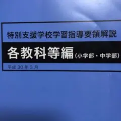 特別支援学校学習指導要領解説各教科等編 (小学校・中学校)平成30年3月文科省