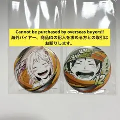 コレクション缶バッジ 烏野