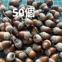 縞々帽子どんぐり　50個