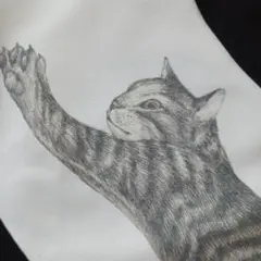 BORTSPRUNGT. 猫ワンピース新品タグ付き