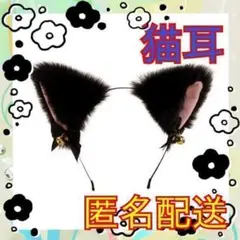 Item thumbnail for item e4ac3a7e-8c10-4b5f-bd66-ca94208e0d63