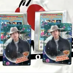 仮面ライダーストア　ガヴ　ヴラム　トレーディングスタイルカードコレクション　２枚