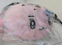 ぱらちゃん 　東芝　両面クリーナー　ぬいぐるみ