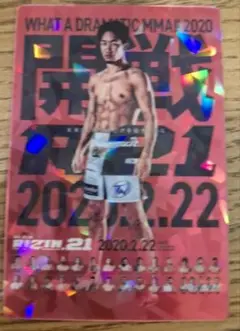 RIZINポテトスティック　RIZIN 21