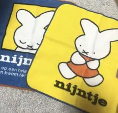 Item thumbnail for item b466acfd-51b4-4885-9b8e-335ba2667a04