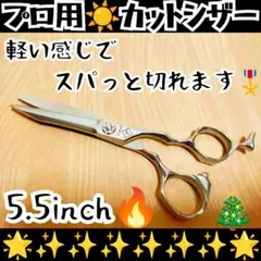 Item thumbnail for item 8cae09a4-4a39-4426-b045-a44072538196