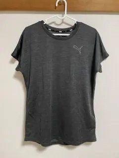 【美品】PUMA Tシャツ Lサイズ