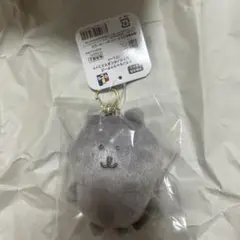 Item thumbnail for item 371d0f70-42a0-4dfa-b6f8-5886ef10b2bc