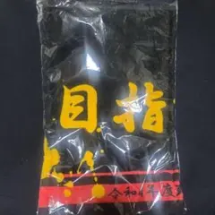 Item thumbnail for item 74dcd971-896f-4ed6-b9a4-1ef15315f615