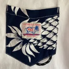 TES エンドレスサマー BUHI ポケット Tシャツ サイズS