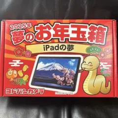 【新品】ヨドバシカメラ夢のお年玉箱（福袋）2025 iPadの夢 ヨドバシカメラ、福袋「2025年 夢のお年玉箱」の抽選販売開始