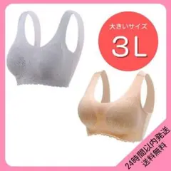 シームレスブラ スポブラ 3L 2枚セット 大きいサイズ おしゃれ ナイトブラ