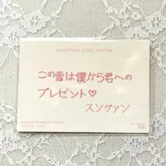 SEVENTEEN スングァン winter メッセージ トレカ