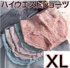 283 ハイウエスト ショーツ XL 5枚 レディース 高通気性 深履き 通年