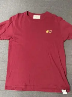 井桁弘恵　コラボモデル　Mサイズ　moz Tシャツ　ワインレッド　古着