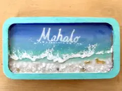 トレー型海アート