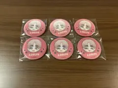 PetiTEEN SEVENTEEN まじかる百貨店 缶バッジ エスクプス