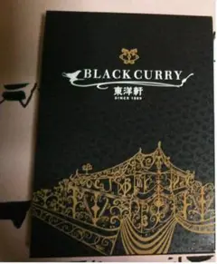 レトルトカレー 2個セット 東洋軒 ブラックカレー
