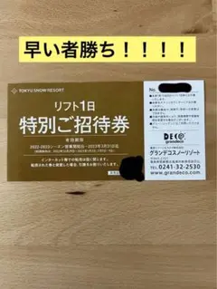 グランデコスノーリゾート リフト1日券