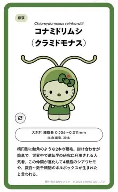 EXPO2025　日本館限定　サンリオ 藻キティ　シークレットピンバッチ