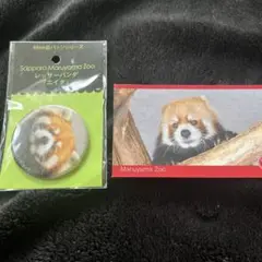 さっぽろ円山動物園 レッサーパンダ 缶バッジ カード エイタ セイタ
