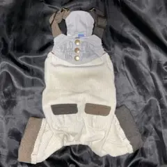 Item thumbnail for item 54492f32-4511-45aa-883e-3f54ad947faf