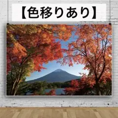 Item thumbnail for item 160f5501-34e3-4477-a541-6f888ffb1e2d