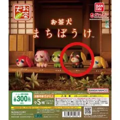 【匿名配送】お茶犬　まちぼうけ　ロン