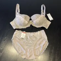 トリンプ 下着上下セット 新品未使用