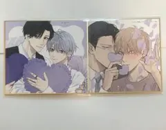 drap 25周年 アニメイト 色紙 Hiカロリー ひなこ ①