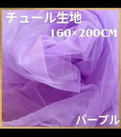 Item thumbnail for item 97c86bf1-f27b-4728-8912-0a2ee30f7ea3