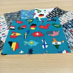 ★C341★ カットクロス/プリント生地/国産/25cm×25cm/10点
