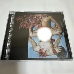 TORSOFUCK ／LYMPHATIC PHLEGM CD ポルノゴア！
