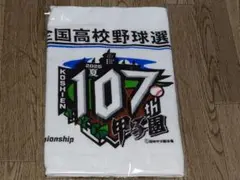 第107回全国高校野球選手権大会記念　全出場校名入りタオル