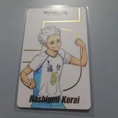 ハイキュー 韓国 10周年 記念展 ラキドロ カード 星海光来
