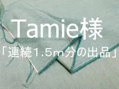 「連続１.５ｍ分の出品」