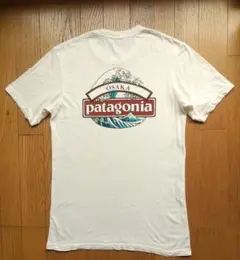 USA製Patagoniaパタゴニア 葛飾北斎 富嶽三十六景 Tシャツ