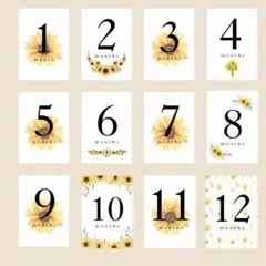 5.マンスリーカード 月齢カード（ひまわり お花 flower シンプル)