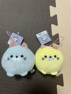 ごろねこサミット　第2回　プチマスコット　ver.R 黄色　水色